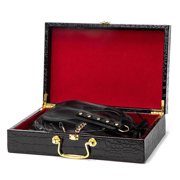 luxury 10 Piece Bondage Set